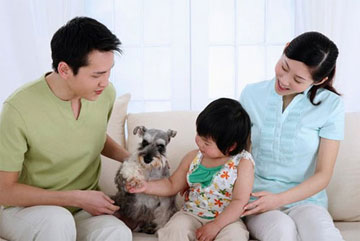 Bài học làm vợ