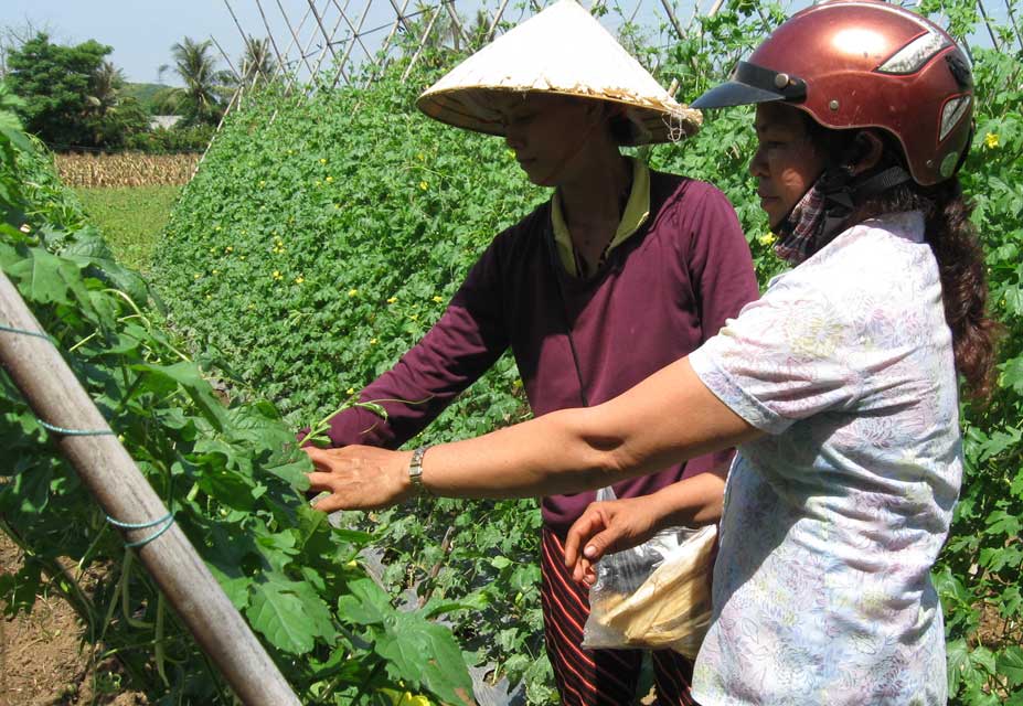 Thúc  đẩy  thực  hiện bình đẳng giới 