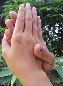Bàn tay mẹ - truyện ngắn của TUYẾT TRẦN