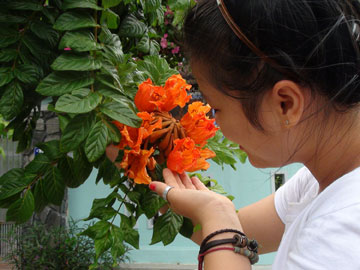 Ngã ba tình yêu - Truyện ngắn của MINH DUYÊN