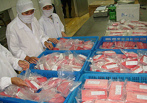Những mối nguy gây mất an toàn thực phẩm thủy sản