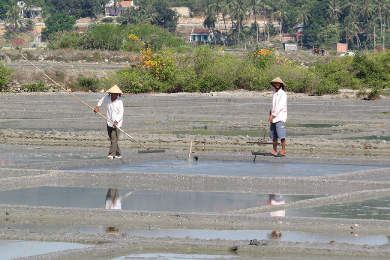 Diêm dân gặp khó trong sản xuất muối trải bạt 
