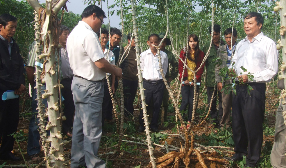 Sông Hinh phát triển nông nghiệp gắn với nông thôn mới