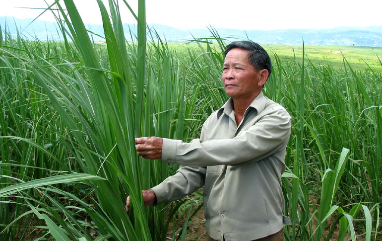 Tăng trưởng xanh, đích của sự phát triển bền vững