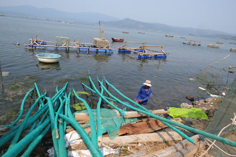 Kiên quyết xử lý dứt điểm tình trạng ô nhiễm từ cắm cọc tre, treo lốp xe trên đầm, vịnh ở Sông Cầu