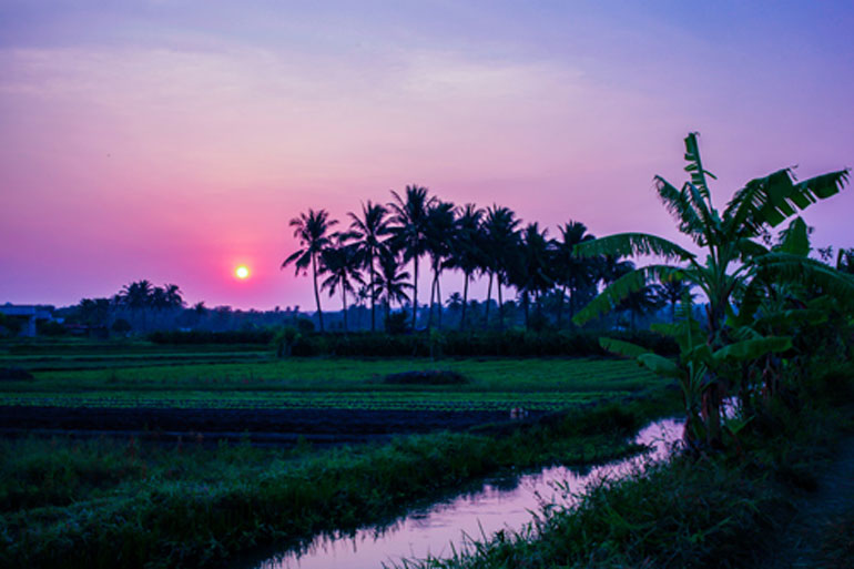 Phơi tình – thơ HOÀI ÂN