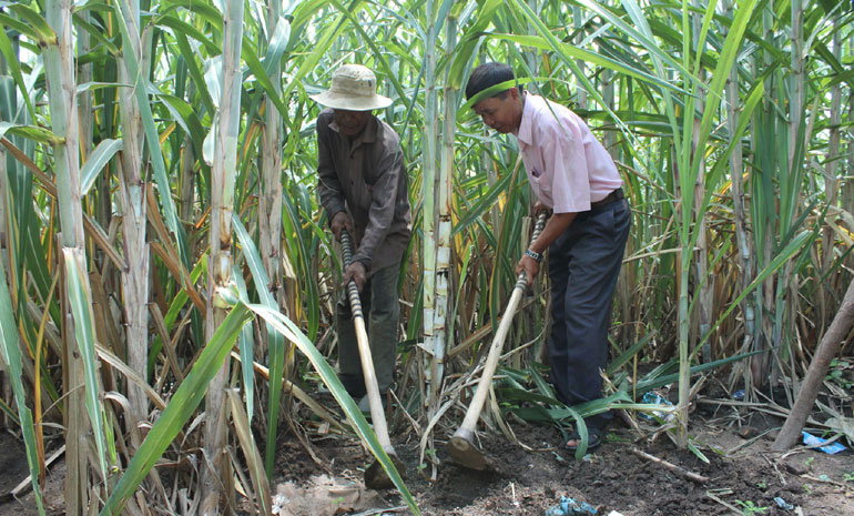 Huy động đầu tư cho vùng miền núi