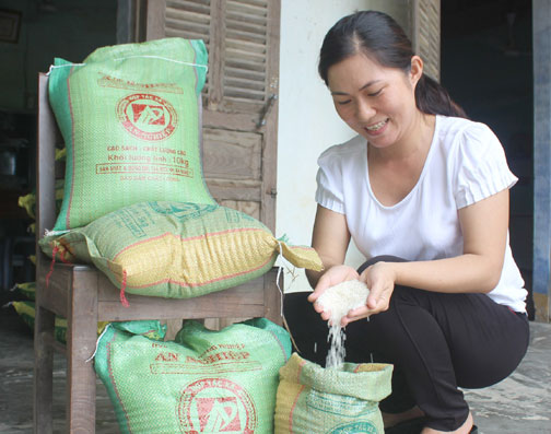 Về An Nghiệp thưởng thức gạo thơm Hoa Vàng
