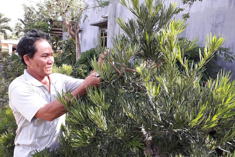 Cựu chiến binh thoát nghèo từ vườn cây kiểng
