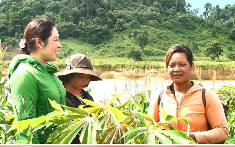 Dai dẳng nạn tảo hôn, hôn nhân cận huyết