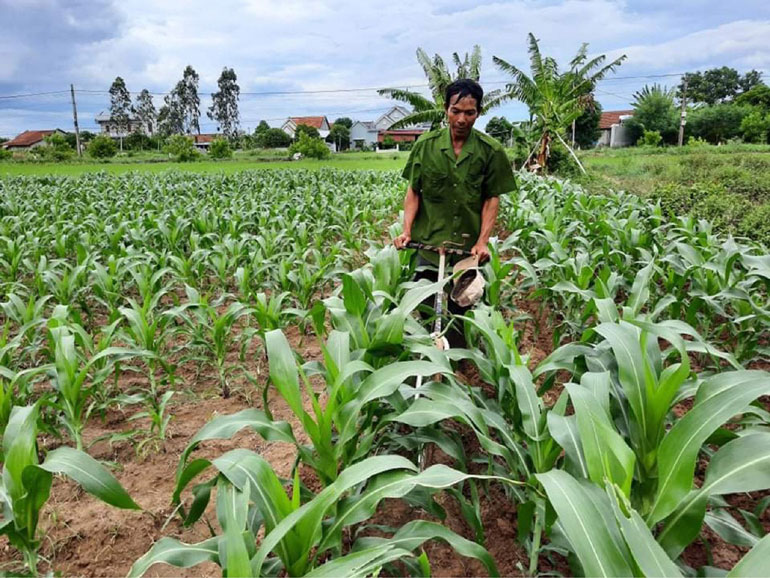 Nông dân hào sảng Ngô Kim Hưng