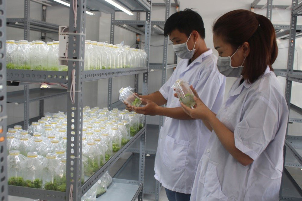 Sôi nổi thi đua tạo lập cuộc sống mới