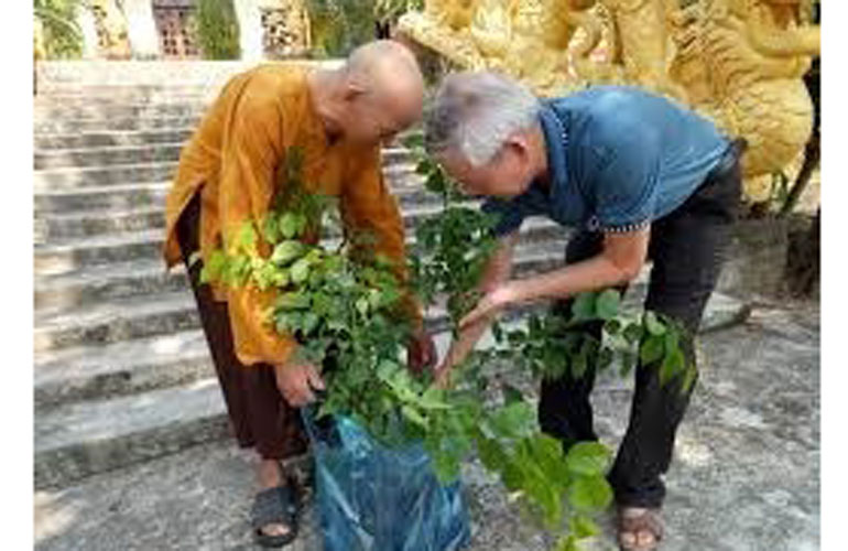 Gắn kết, tạo đà cho hội thành viên phát triển
