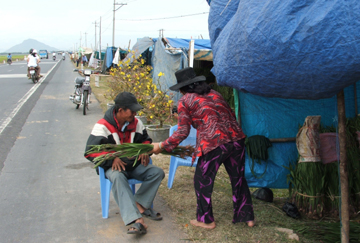 070213- hoa ngoai duong.jpg