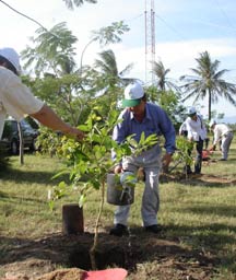 070604-trong-cay.jpg