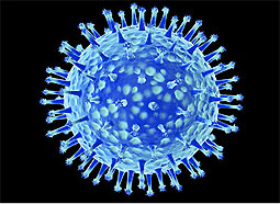 080109-virus-H5N1.jpg