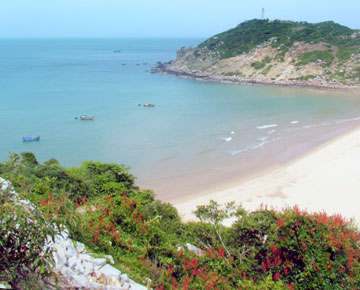 080114-mui-dien-h2.jpg