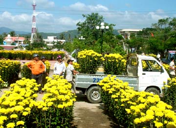 080206-Hoi-hoa-xuan.jpg