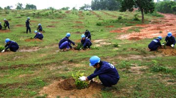 080213-tranthanh-vinh.jpg