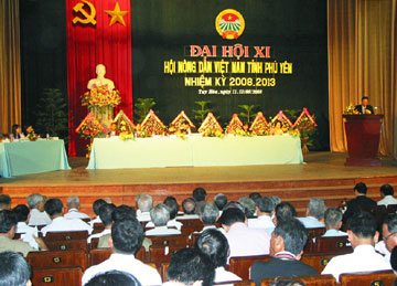 dai-hoi1-080613.jpg