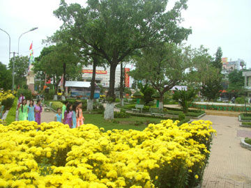 thanh-pho-090205.jpg