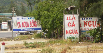 Ca-ngua.090819.jpg