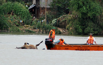 ve-sinh-moi-truong-091108.jpg