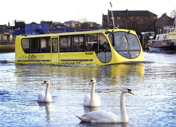 AMPHIBUS.jpg