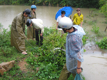 chuot-dong101108.jpg