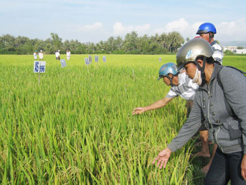 an-ninh-tay110404.jpg