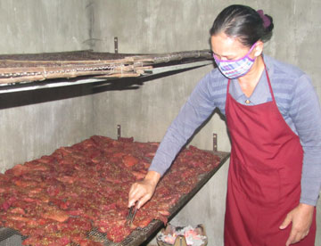 bo-kho1111219.jpg