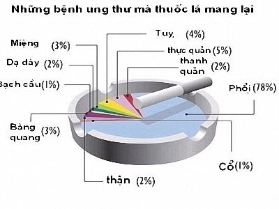 thuoc la-111001.jpg