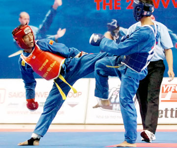 vovinam110731.jpg