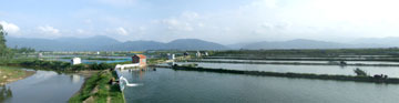 ghep2-110801.jpg