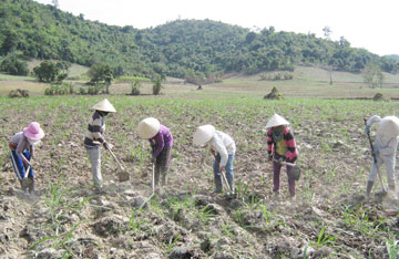 trang-trai110909.jpg