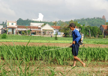 nong-dan120813.jpg