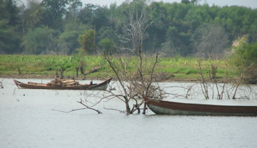 thuy-dien120831.jpg