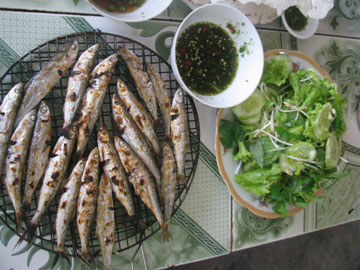Ca-muong.jpg