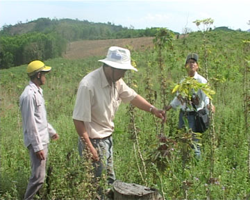 san-choi-rong120531.jpg