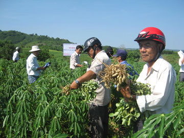 nong-thon-moi120607.jpg