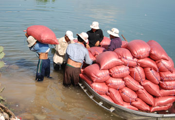 muoi-Xuan-Binh120619.jpg