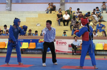 vovinam120708.jpg