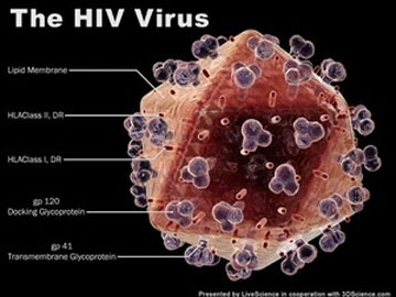 HIV-130117.jpg