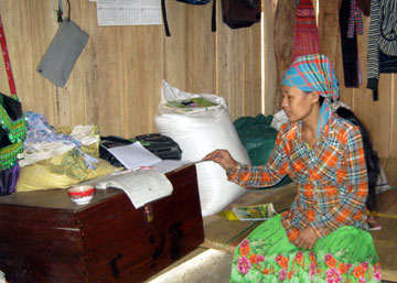 Hmong130321.jpg