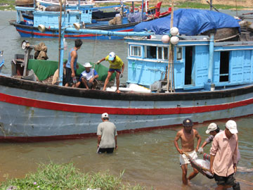 anh-phu-dong130718.jpg