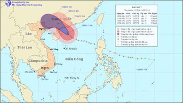 Bao-130814.jpg