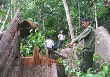 phan-hoi130922.jpg