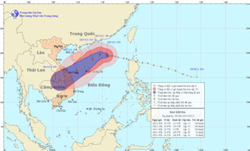 bao-131102.jpg