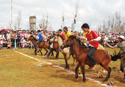 vo-ngua-dau-xuan-4.jpg