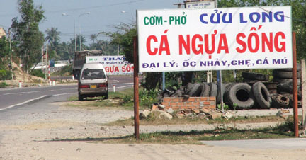 duong-ca-ngua.jpg